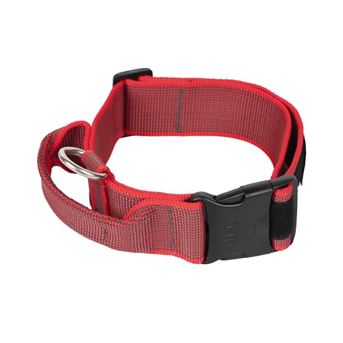 JULIUS-K9, 200HA-K-R-2015 Color & Gray series- K9-Halsband mit Haltegriff, Sicherheitsverschluss und Logo und Sicherheitsverschluss, 50 mm*49-70 cm, verstellbar, rot-grau von JULIUS K-9