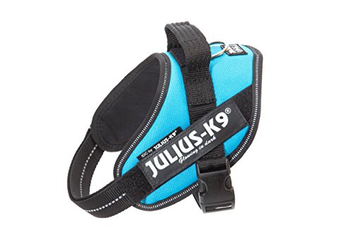 JULIUS K-9 IDC Powergeschirr, Größe: XS / Mini-Mini, Aquamarine, 16IDC-AM-MM von JULIUS K-9