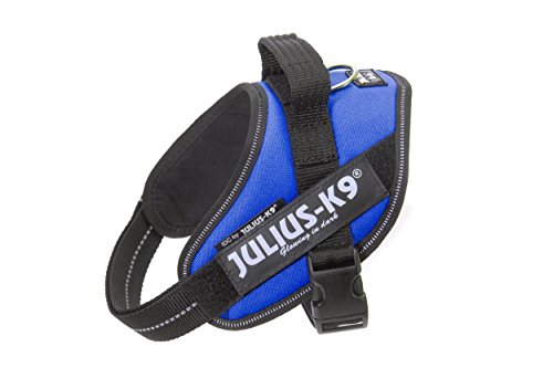 Julius K9 16IDC-B-MM IDC-Powergeschirr mit Logofeld, mini blau von JULIUS K-9