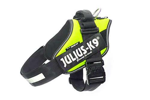 JULIUS K-9 IDC Powergeschirr, Größe: 2XL/3, Neon Grün 16IDC-C-0 von JULIUS K-9