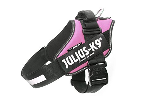 JULIUS K-9 IDC Powergeschirr, Größe: XL / 2, Pink, 16IDC-PN-2 von JULIUS K-9