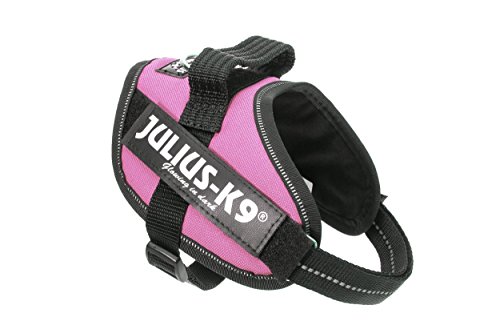 Julius K9 16IDC-PN-M IDC-Powergeschirr mit Logofeld, mini pink von JULIUS K-9