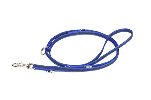 IDC Color & Gray verstellbare Leine mit Doppelkarabiner, 14 mm x 2,2 m, Blau-Grau von JULIUS K-9