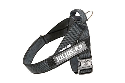 JULIUS K-9, Color & Gray, Beltgeschirr, L / 1 von JULIUS K-9