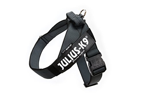 Julius-K9, IDC-Geschirr, Größe XL / 2, Schwarz von JULIUS K-9