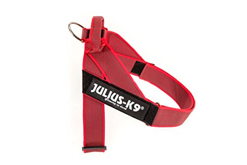 JULIUS K-9, Color & Gray, Beltgeschirr, M / 0 von JULIUS K-9