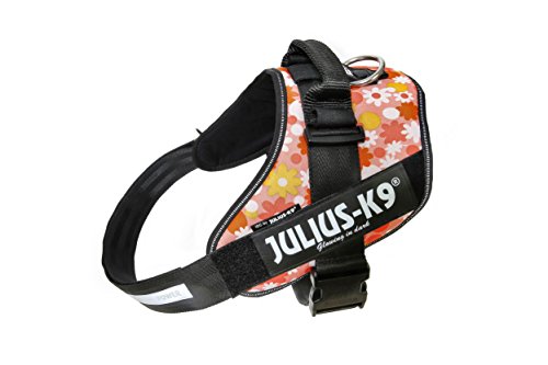 Julius-K9, IDC Powergeschirr, Größe: 2XL / 3, Pink mit Blumen von JULIUS K-9