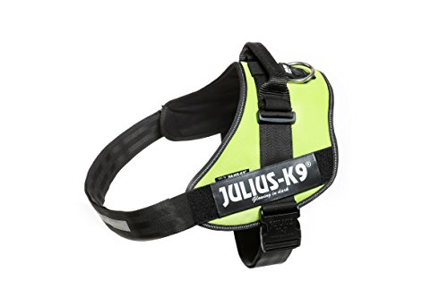 Julius-K9, IDC Powergeschirr, Größe: 2XL / 3, UV Neon Grün von JULIUS K-9