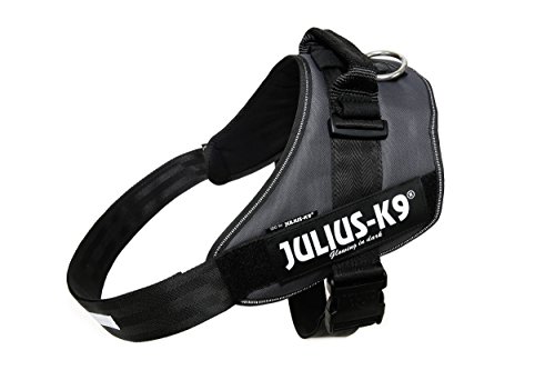 Julius-K9, IDC Powergeschirr, Größe: 3XL / 4, Anthrazit von JULIUS K-9