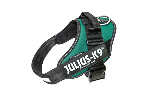 Julius-K9, IDC Powergeschirr, Größe: L / 1, Dunkelgrün Julius-K9, IDC Powergeschirr, Größe: L / 1, Dunkelgrün von JULIUS K-9