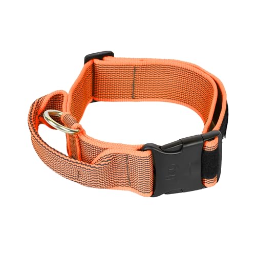 Julius-K9 200HA-K-OR-2015 Color & Gray Halsband mit Haltegriff, Sicherheitsverschluss und Logo, 50 mm (49-70 cm), Orange-Grau von JULIUS K-9