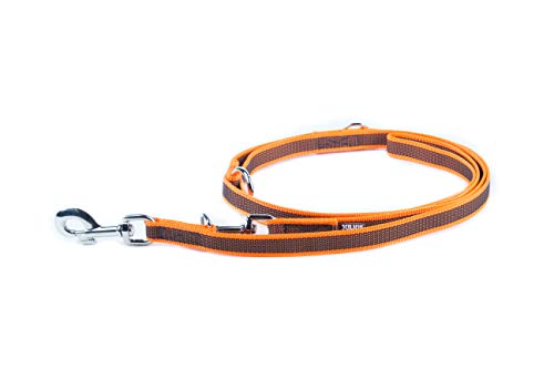 IDC Color & Gray verstellbare Leine mit Doppelkarabiner, 20 mm x 2,2 m, Orange-Grau von JULIUS K-9