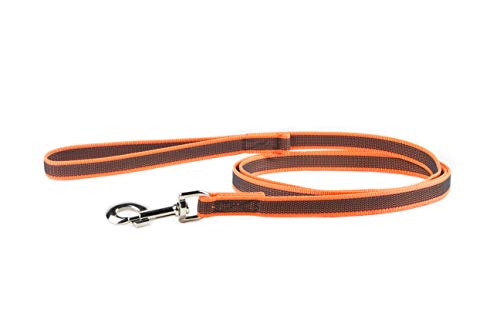 IDC Color & Gray gumierte Leine, 20 mm x 2 m mit Schlaufe und D-Ring, Orange-Grau von JULIUS K-9