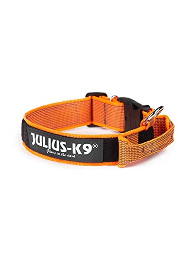 Julius K9 Halskette mit Henkel 40 mm orange 1 Stück 250 g von JULIUS K-9