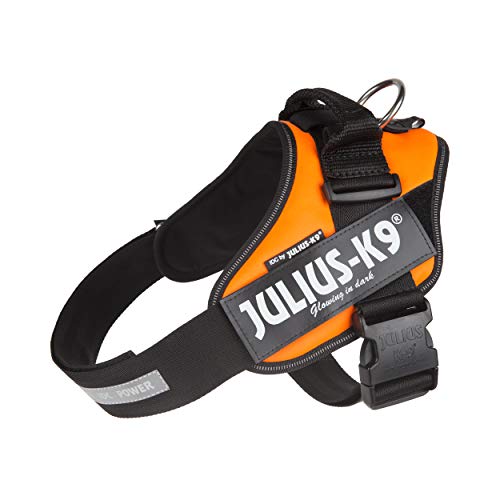 Julius-K9 IDC PowerHarness für Hunde mit 2 Patches, UV Orange, Größe 3 von JULIUS K-9