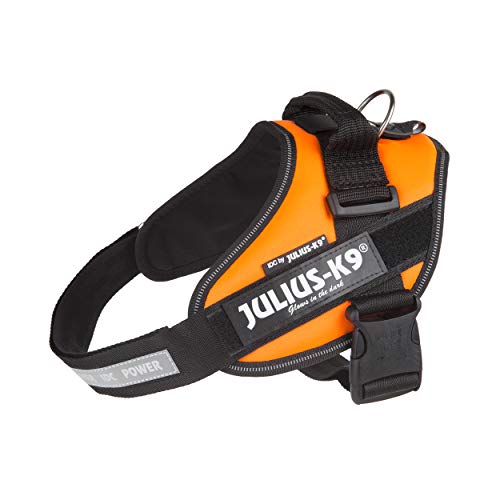 Julius-K9 IDC PowerHarness für Hunde mit zwei Patches, UV Orange, Größe 0 von JULIUS K-9