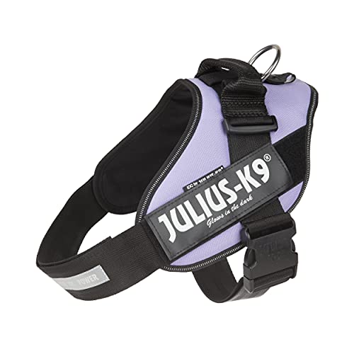 Julius-K9 IDC Powerharness Hundegeschirr, mit 2 Patches, Violett, Größe 2 von JULIUS K-9