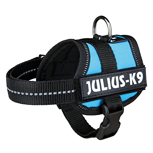 K9 Powergeschirr, Größe: 3XS/Baby 1, Aquamarine von JULIUS K-9