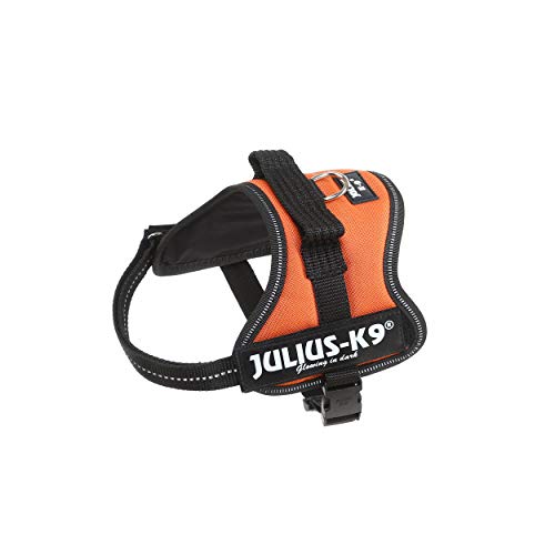 K9 Powergeschirr, Größe: XS/Mini-Mini, Orange von JULIUS K-9