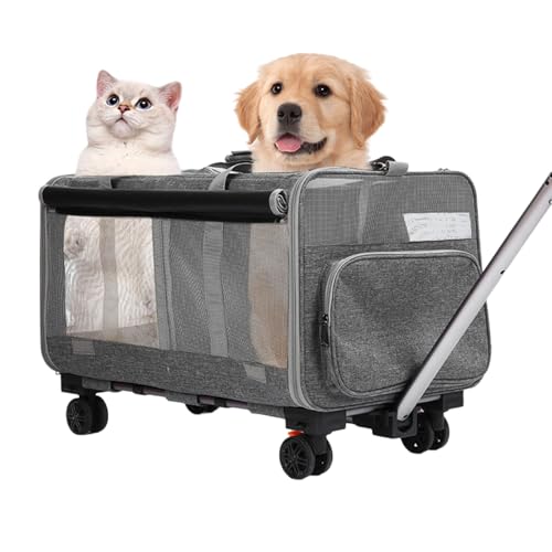 Transportbox Katze, Hunde Tragetasche Mobil, Transporttasche mit Teleskopgriff, Rädern, kleine Tasche und Partition, klappbare Reisebox für kleine & mittelgroße Haustiere (Grau) von JUMBENA