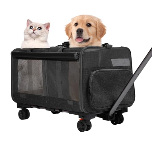 Transportbox Katze, Hunde Tragetasche Mobil, Transporttasche mit Teleskopgriff, Rädern, kleine Tasche und Partition, klappbare Reisebox für kleine & mittelgroße Haustiere (Schwarz) von JUMBENA