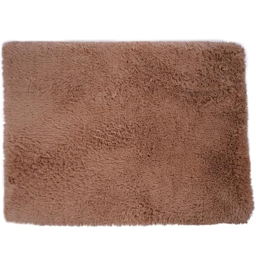 JUMI Hundebett Beige 120x80x8 cm – Großes Rechteckiges Kuschelbett, Schlafplatz für Hunde und Katzen von JUMI