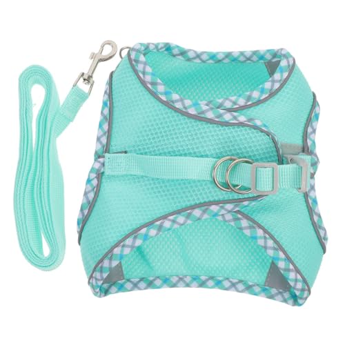 JUMPLAWN 1 Satz Hundegeschirr-Set Einziehbare Hundeleine Doppelter Welpe Rassen Haustierleine Hunde Walking Ausziehbare Leine Für Große Hunde Zaum Mehrere Polyester Sky-Blue von JUMPLAWN