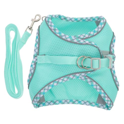 JUMPLAWN 1 Satz Hundegeschirr-Set Multifunktionaler Hausleine Für Das Welpentraining Zubehör Gürtel Post Hundetraining Führen Bausatz Tür Zaum Netz Co Gel Polyester Sky-Blue von JUMPLAWN