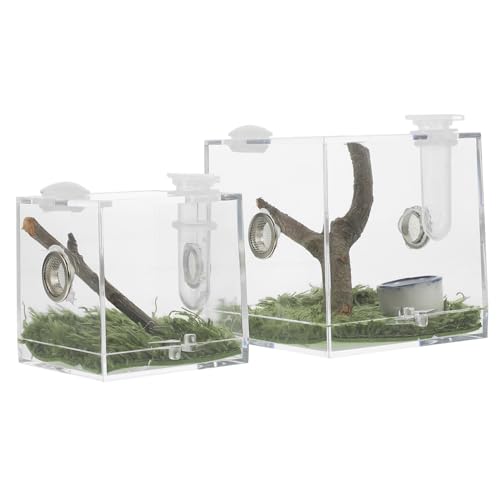 JUMPLAWN 2Stücke Springspinnen Zuchtbox Transparent Insekten Habitatbox mit Belüftungslöchern für Geckos Skorpione Grillen und Kleine Reptilien JUMPLAWN 2Stücke Springspinnen Zuchtbox Transparent Insekten Habitatbox mit Belüftungslöchern für Geckos Skorpione Grillen und Kleine Reptilien von JUMPLAWN