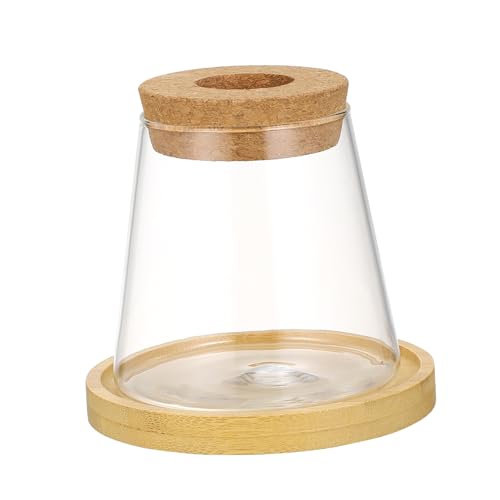 JUMPLAWN Hydroponische Vase Zuchtglasvase Desktop-Container Hydroponische Behältervase Behälter Für Zuchttanks Sämaschinenvase Ökologischer Flaschenbehälter Deckelvase Holz Transparent von JUMPLAWN