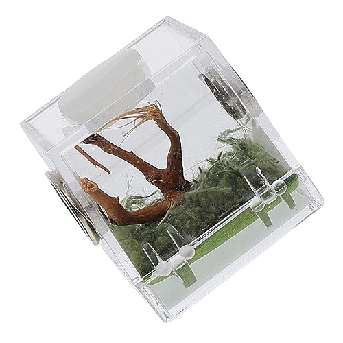 JUMPLAWN Kleine Insekten Fütterungsbox für Reptilien Transparente Acrylbox für Springende Spinnen für Schlangen Skorpione Geckos Kompakte Terrarium Lösung JUMPLAWN Kleine Insekten Fütterungsbox für Reptilien Transparente Acrylbox für Springende Spinnen für Schlangen Skorpione Geckos Kompakte Terrarium Lösung von JUMPLAWN