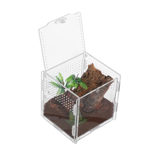 JUMPLAWN Reptilien-futterbox, Acryl-Terrarium-gehäuse Für Mantis, Skorpione Und Frösche, Mikro-Habitat-reptilienbecken, Vogelspinne-gehäuse von JUMPLAWN