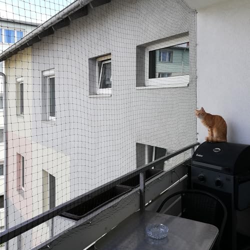 Katzennetz Balkon, Drahtverstärktes Katzennetz, bissfest und reißfest, UV- und witterungsbeständig, Balkon Katze Anti-Fall Netz für Haustiere, Katzenschutznetz für Fenster Terrasse Balkon von JUMXSRLE