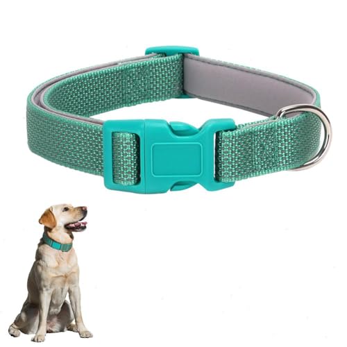 Reflektierendes Hundehalsband, Welpenhalsband Schnalle, verstellbar, weich, Neopren gepolstert, atmungsaktives Nylon-Haustierhalsband, 4 Größen erhältlich, grünes Hundehalsband für von JUNCHUANG