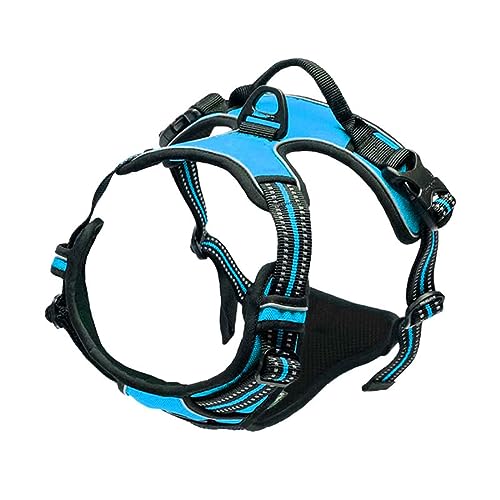 Brustgeschirre Kleine Hunde Leicht Mittelgroße Hunde Leine Hund Hundegeschirr Schnalle Reflektierender Cursor Schnalle Atmungsaktives Bequemes Netz Dickes Nylon-Gurtband (XL,Blue) von JUSHZ