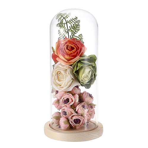 JUXYES Glasglocke mit Massivholzsockel, klare Glaskuppel, Terrarium-Glas, staubdicht, Glasglocke, Display für Pflanzen, Sammelfigur, 10,2 x 25,4 cm von JUXYES