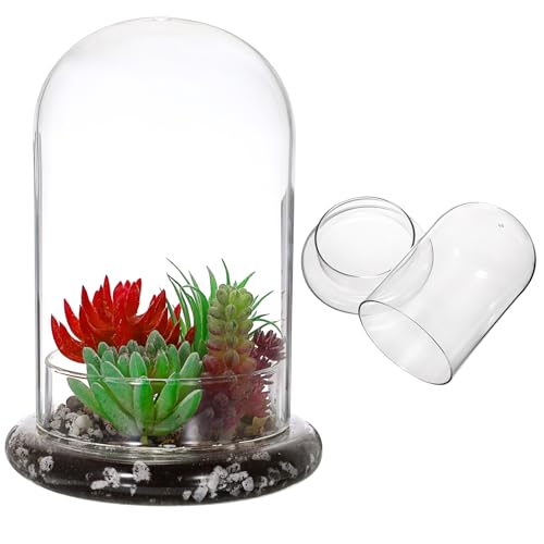 JUXYES Vollständig transparentes Glas-Terrarium-Pflanzgefäß mit Luftloch, Klarglas-Display, Kuppel, Glocke, Terrarienglas, staubdicht, Tisch-Display, klares Terrarium für Hydrokultur-Pflanzen und von JUXYES