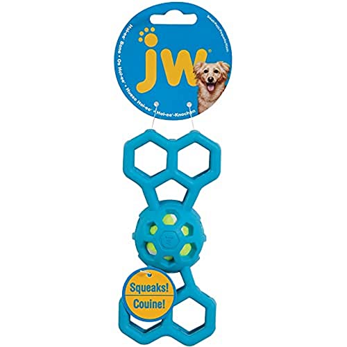 JW Pets JW31445 Hol-ee Bone Squeaker Small von JW
