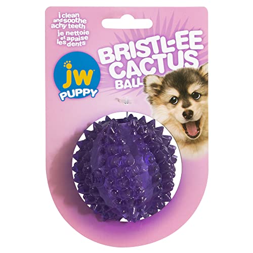 JW - Bristly Cactus Ball - Zahnspielzeug zur Entlastung von Welpen - Kauball für Welpen - Weiches, Robustes, strukturiertes Gummi - massiert das Zahnfleisch - Einheitsgröße von JW