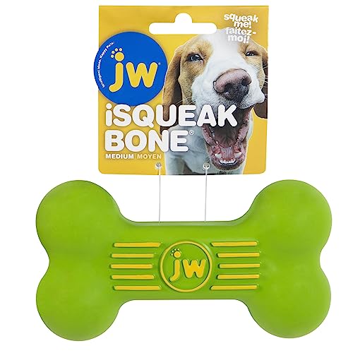 JW JW43036 Isqueak Bone Medium, Dicke Gummiknochen für Hunde schreien, M von JW