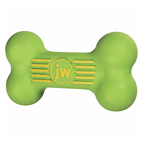 JW PET ISqueak Squeaker Dog Puppy Fetch Chew Toy MEDIUM BONE 5.5 inch - 2 Pack von JW