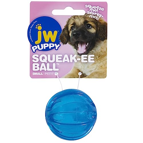 JW Pet Quietschball für Spielplatz, klein (Farbe kann variieren) von JW