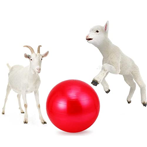 Ziegen-Yoga-Ball-Spielzeug, Anti-Burst-Übungs-Spielzeugball mit Aufblaspumpe für Ziegen-Lamm-Unterhaltungsspielzeug (55,9 cm, rot) von JWYINGIN