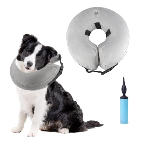 Inflatable Collar for Dogs and Cats Mit Verstellbarer Schnalle Verstellbare Halsbänder für Haustiere Aufblasbares Hundehalsband (Grau) von JXAXD