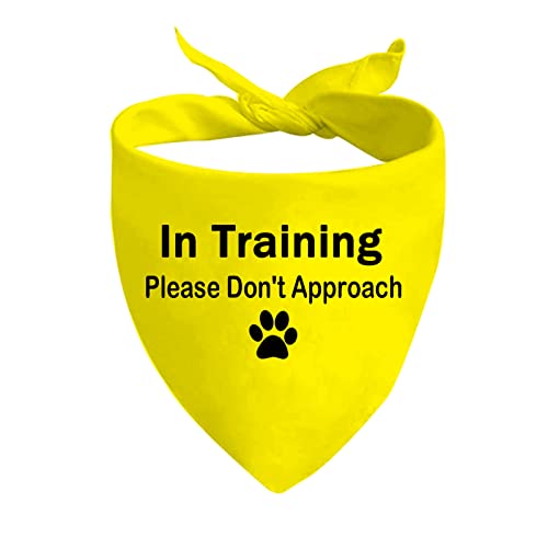 JXGZSO 1 Stück Dot Not Approach/Please Approach Slowly Nervous Dog Bandana Schüchtern Rettung Nervöse Schüchtern Hund Geschenk (Dont Approach D) von JXGZSO