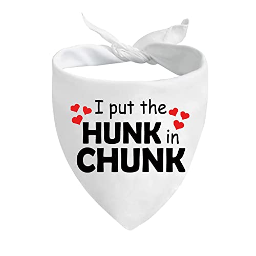 JXGZSO 1 Stück I Put The Hunk in Chunk Dog Bandana Boy Dog Bandana Over The Collar Bandana (Hunk in Chunk D) von JXGZSO