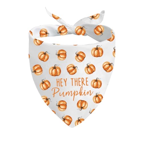 JXGZSO 1 x Herbst-Hundehalstuch, Motiv: Hey There Pumpkin Puppy Scarf Thanksgiving Dog Bandana (There Pumpkin Dog) von JXGZSO