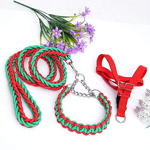 Gurt-Rollleine 5M Kleine, Mittlere Und Große Hundehundekette Brustgeschirr Set Halsband Hundeleine-Rot Grün_S-Dreiteiliger Anzug von JXX