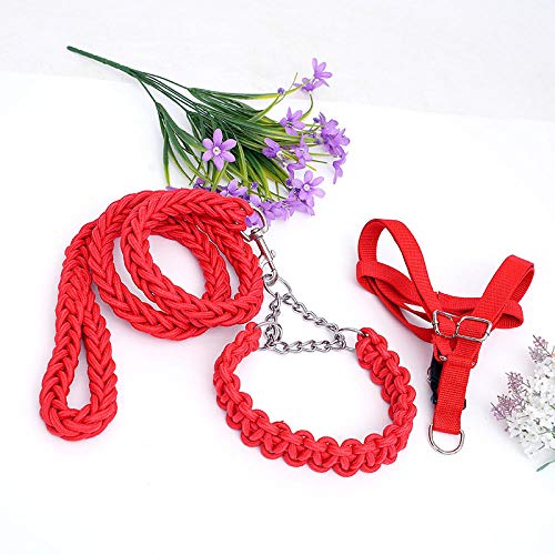 Gurt-Rollleine 5M Kleine, Mittlere Und Große Hundehundekette Brustgeschirr Set Halsband Hundeleine-Rot_M-Dreiteiliger Anzug von JXX