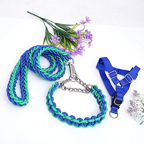 Hundeleine Große Hunde Kleine, Mittlere Und Große Hundehundekette Brustgeschirr Set Halsband Hundeleine-Blau Grün_S-Dreiteiliger Anzug von JXX